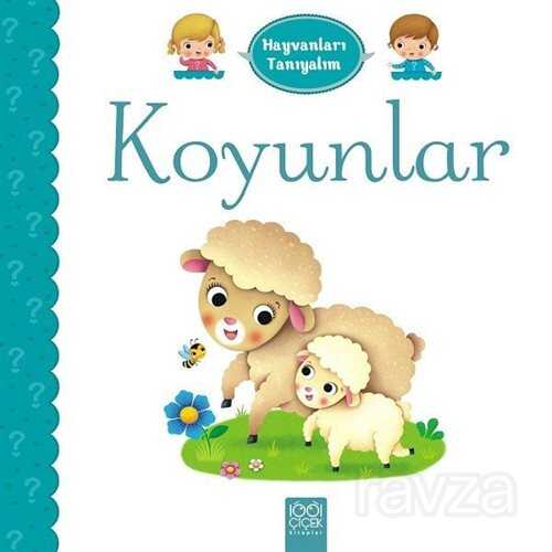 Hayvanları Tanıyalım / Koyunlar - 1001 Çiçek Kitaplar
