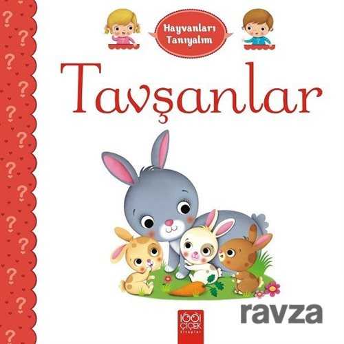 Hayvanları Tanıyalım / Tavşanlar - 1001 Çiçek Kitaplar