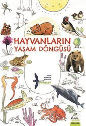 Hayvanların Yaşam Döngüsü - Elma Yayınevi
