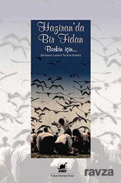 Haziran'da Bir Fidan - 1