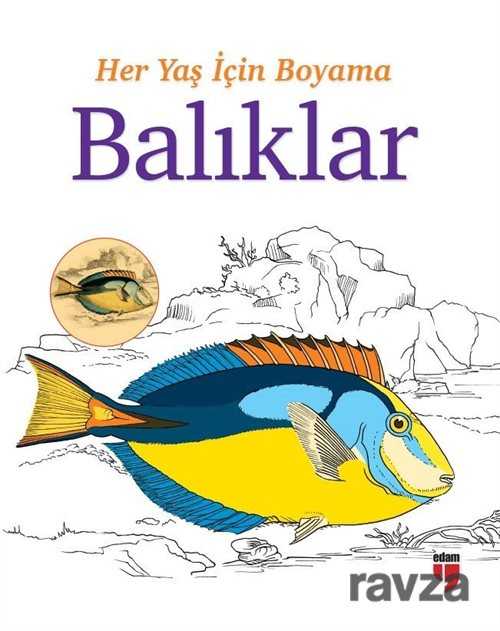 Her Yaş İçin Boyama - Balıklar - 1