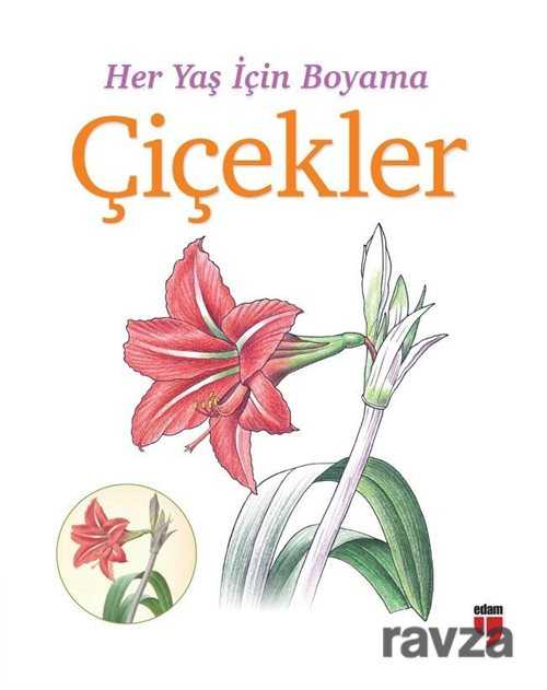 Her Yaş İçin Boyama - Çiçekler - 1