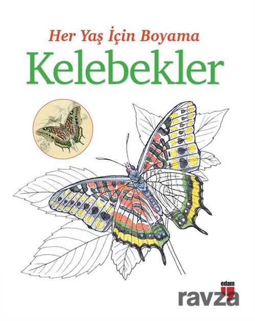Her Yaş İçin Boyama - Kelebekler - Edam Yayınları