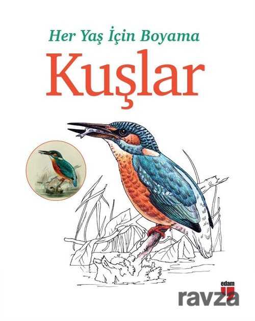 Her Yaş İçin Boyama - Kuşlar - Edam Yayınları