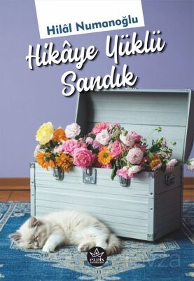 Hikaye Yüklü Sandık - 1