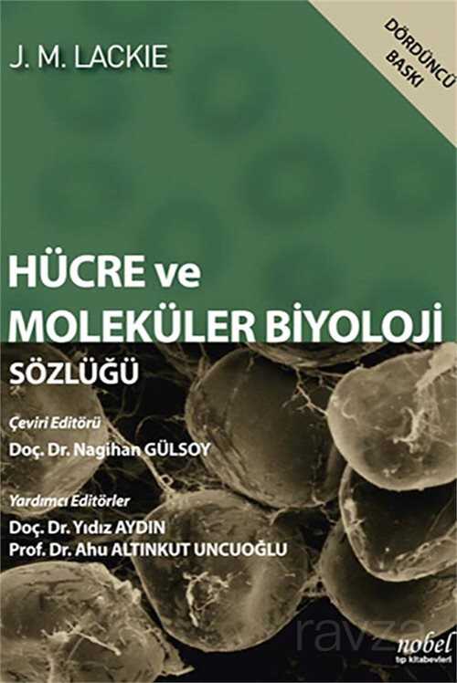 Hücre Ve Moleküler Biyoloji Sözlüğü - 1