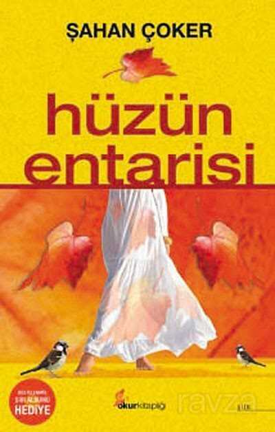 Hüzün Entarisi - Okur Kitaplığı