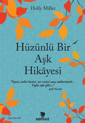 Hüzünlü Bir Aşk Hikayesi - 1