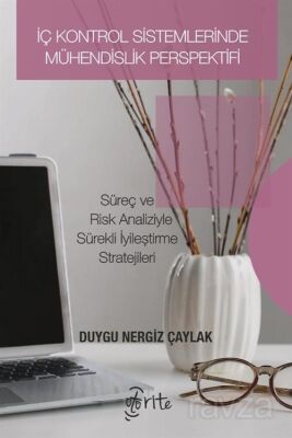 İç Kontrol Sistemlerinde Mühendislik Perspektifi - 1