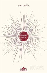 İçindeki Evren - Pegasus Yayınları