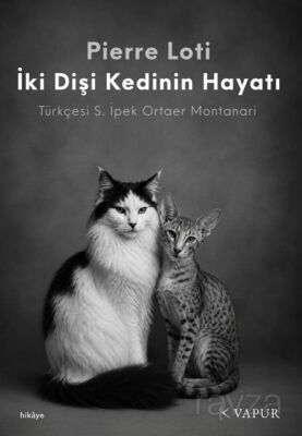 İki Dişi Kedinin Hayatı - 1