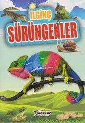 İlginç Bilgiler Serisi / İlginç Sürüngenler - Teleskop Popüler Bilim