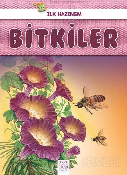 İlk Hazinem - Bitkiler - 1001 Çiçek Kitaplar