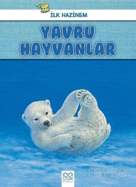 İlk Hazinem - Yavru Hayvanlar - 1001 Çiçek Kitaplar