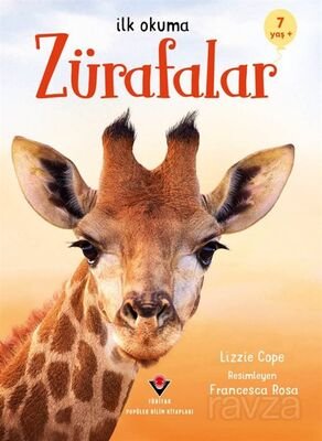 İlk Okuma - Zürafalar - 1