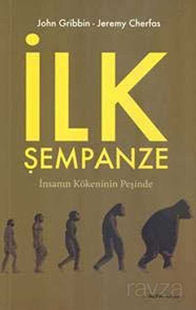 İlk Şempanze - 1