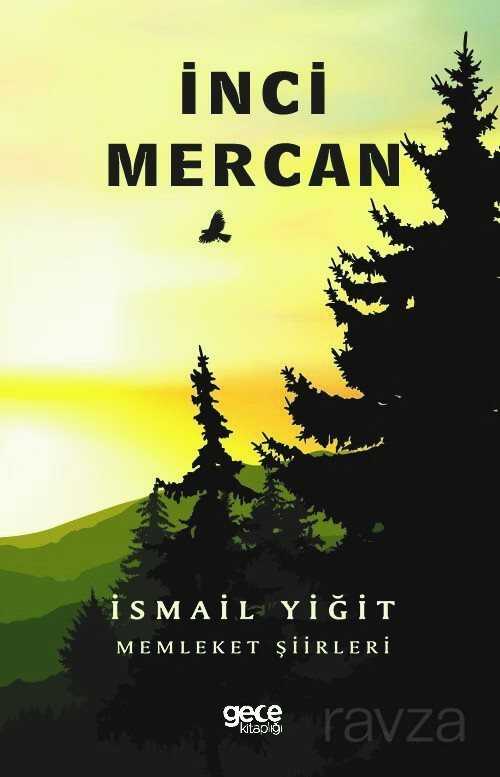 İnci Mercan - Gece Kitaplığı