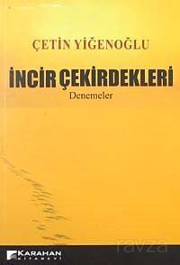 İncir Çekirdekleri-Denemeler - 1