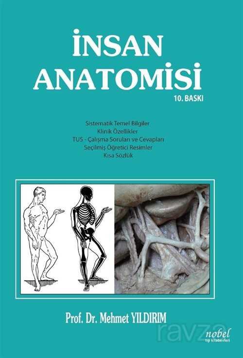 İnsan Anatomisi 10. Baskı - 1