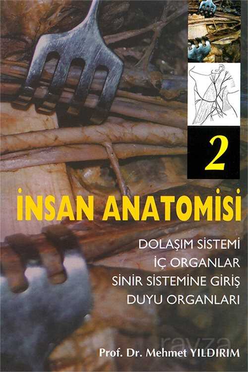 İnsan Anatomisi 2 Dolaşım Sistemi - İç Organlar - Sinir Sistemine Giriş - Duyu Organları - Nobel Tıp Kitabevleri