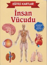 İnsan Vücudu / Eğitici Kartlar - Teleskop Popüler Bilim