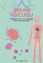 İnsan Vücudu - Mandolin Yayınları