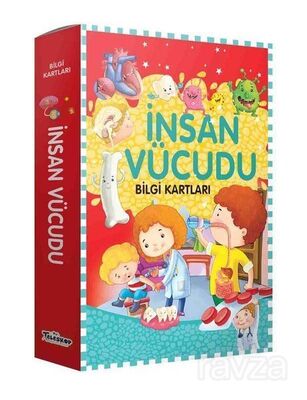 İnsan Vücudu Bilgi Kartları - 1