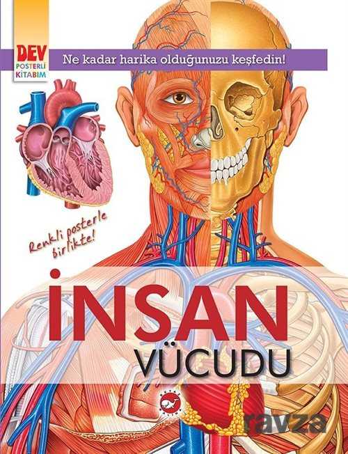 İnsan Vücudu (Dev Poster Ekli) - Beyaz Balina Yayınları