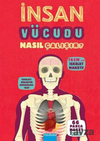 İnsan Vücudu Nasıl Çalışır? - 1