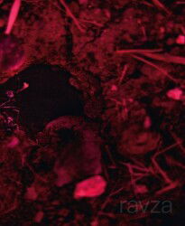 Islak Hüzün - Masa Yayınları