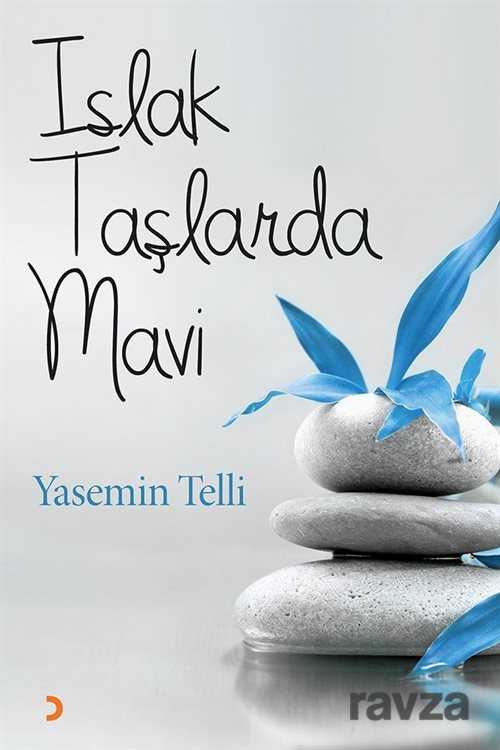 Islak Taşlarda Mavi - 1