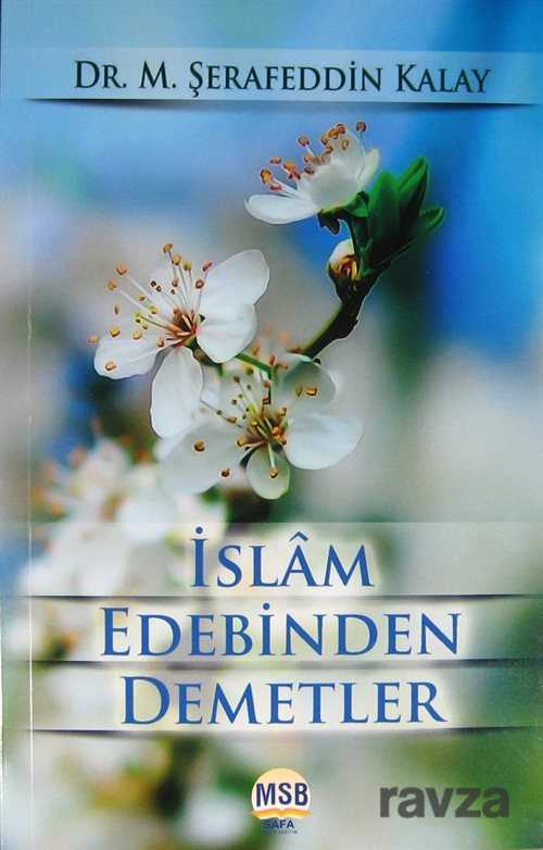 İslam Edebinden Demetler - MSB Safa Yayın Dağıtım