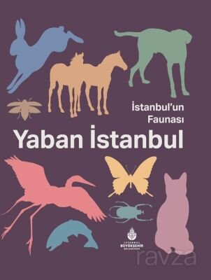 İstanbul'un Faunası Yaban İstanbul - 1