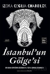 İstanbul'un Gölge'si - Everest Yayınları