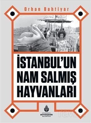 İstanbul'un Nam Salmış Hayvanları - 1