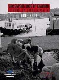 İstanbul'un Sokak Köpekleri - İş Bankası Yayınları