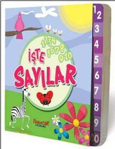 İşte Sayılar - 1