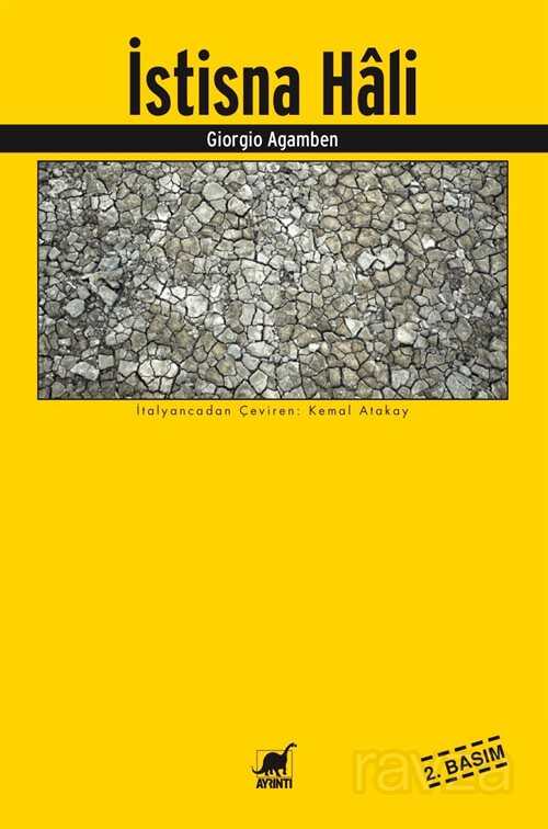 İstisna Hali - Ayrıntı Yayınları