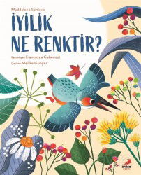 İyilik Ne Renktir? - Erdem Çocuk Yayınları