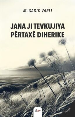 Jana Ji Tevkujiya Pêrtaxê Diherike - 1