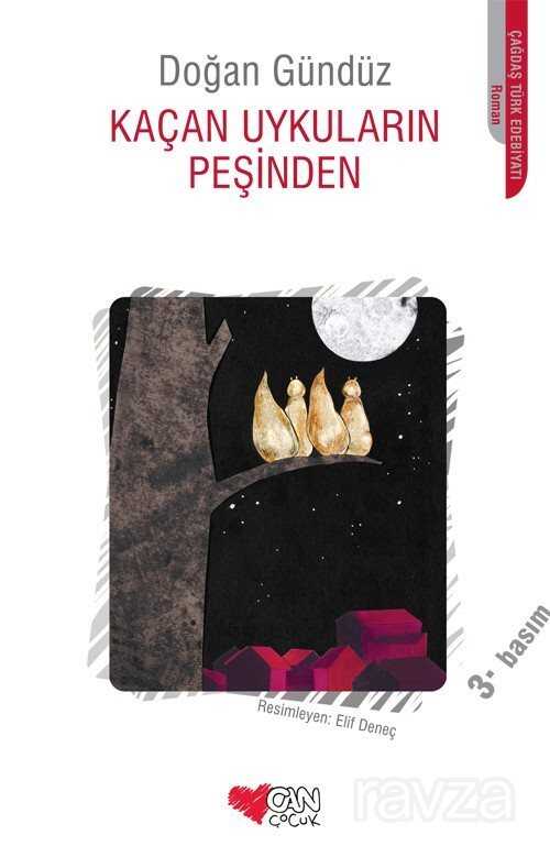 Kaçan Uykuların Peşinden - Can Çocuk Yayınları