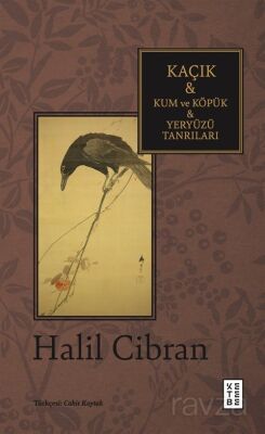 Kaçık - Kum ve Köpük - Yeryüzü Tanrıları - 1