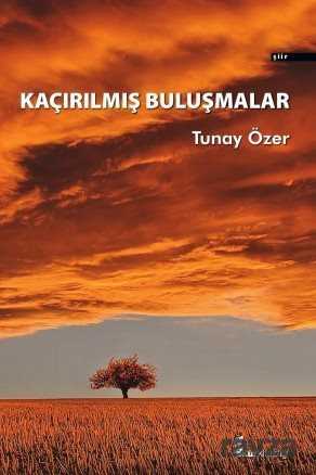 Kaçırılmış Buluşmalar - Okur Kitaplığı