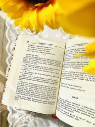 Kadın İlmihali (Ciltli) - 8