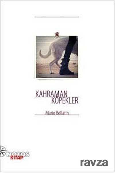 Kahraman Köpekler - Notos Kitap Yayınevi