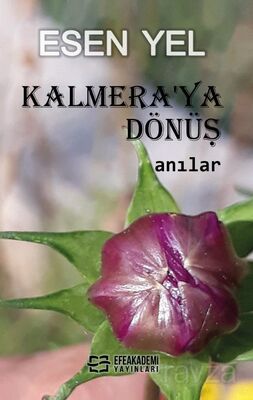 Kalmera'ya Dönüş - 1