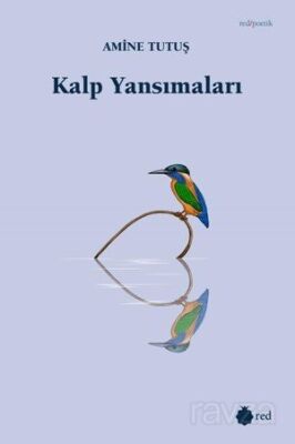 Kalp Yansımaları - 1