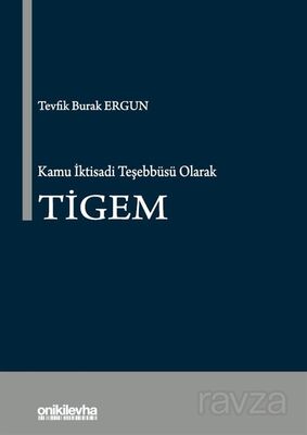 Kamu İktisadi Teşebbüsü Olarak TİGEM - 1