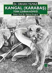 Kangal (Karabaş) Türk Çoban Köpeği - Bilge Kültür Sanat
