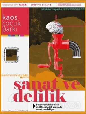 Kaos Çocuk Parkı Sanat Ve Delilik - 1